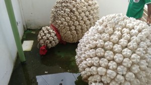 IMG-20160122-WA0027