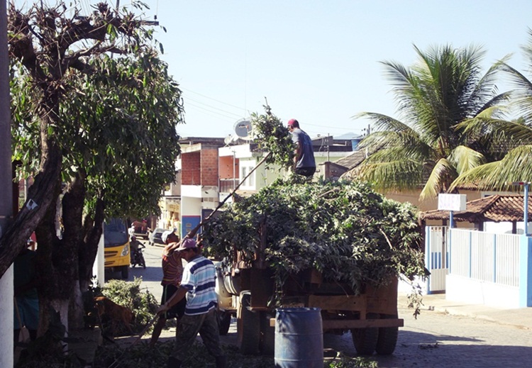 Poda de árvores em Recreio.